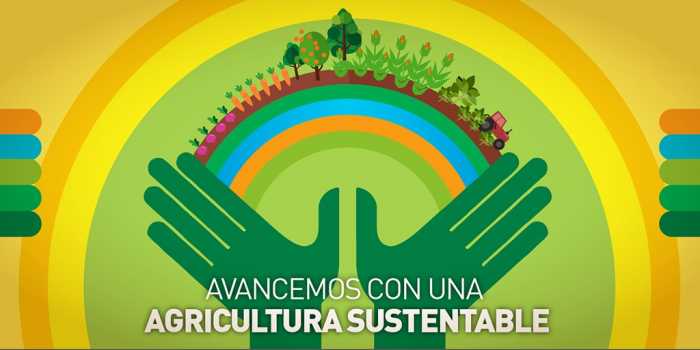CASAFE Promovamos entre todos una agricultura sustentable, para que nuestro futuro sea mejor