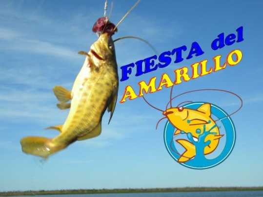 Con 32 amarillos la gente de Videla Ganaron el certamen 2018 de la Pesca del Amarillo en Helvecia