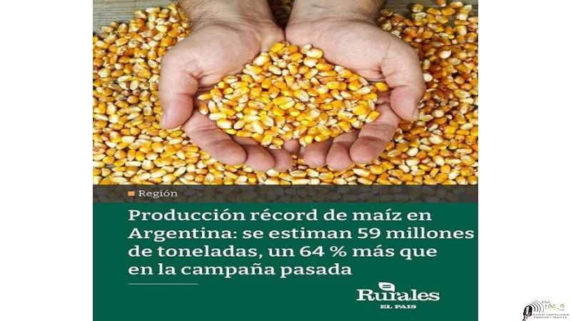 La producción de maíz de Argentina va rumbo a un nuevo récord, esperan 59 millones de toneladas