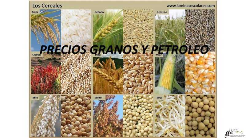 Cotización precios en Rosario de cereales, petroleo, dolar 18-08-2023