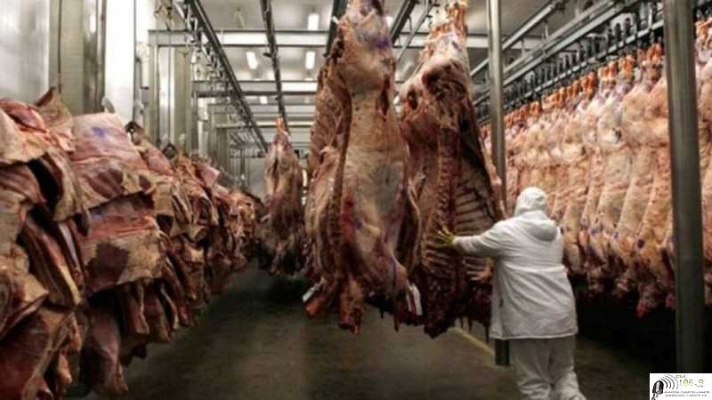 Exportaciónes de carne vacuno Marzo 2024 informe completo y actual  Informe del IPCVA