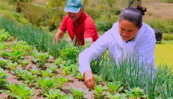 El decreto 302/17, publicado &nbsp;2/5 &nbsp;Boletín Oficial de la República Argentina el gobierno eliminó la Secretaría de Agricultura Familiar&nbsp;