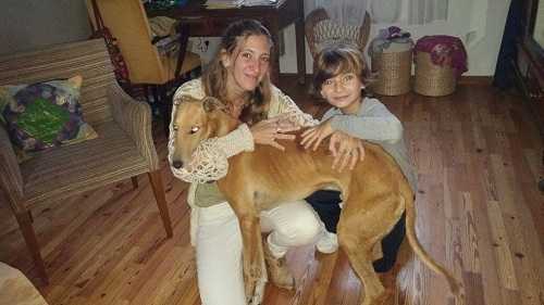 PROGRAMA ADOPTAME &nbsp; Loca, Finoli y Margarita ya tienen una familia ,&nbsp;Castraciones en los barrios