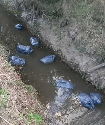 Otra vez los irresponsables arrojan bolsas con basuras a los canales