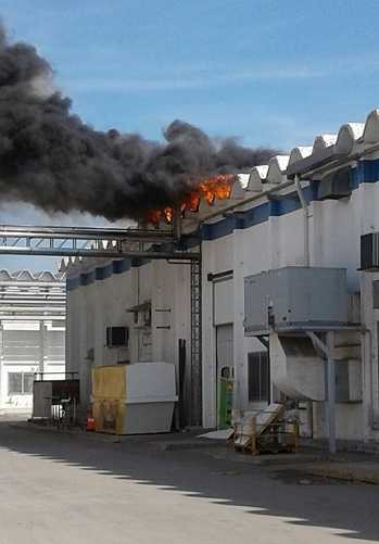 Un incendio se produjo este viernes alrededor de las 13:30 en la planta que la empresa láctea Williner posee en Bella Italia