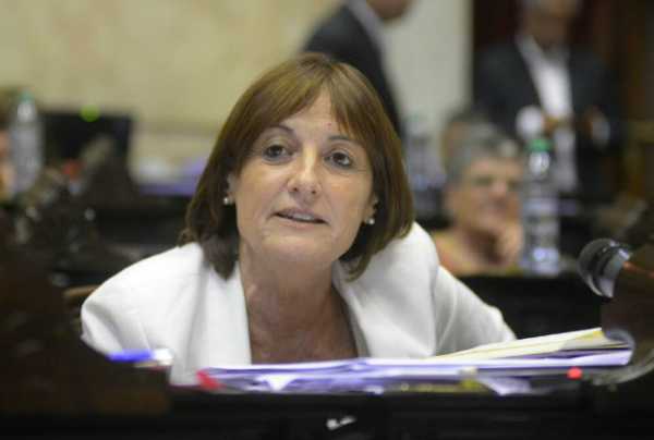 La diputada Alicia Ciciliani  pide políticas de Estado para el  Biodiesel ante la arbitraria decisión arancelaria de EEUU