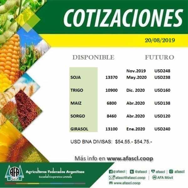 AFA Humboldt cotización granos  20 / 8 /2019