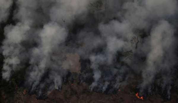 El humo del Amazonas llega hoy a la Argentina Se empezará a sentir esta noche en las provincias del norte argentino y durante el fin de semana se podría instalar en la ciudad de Buenos Aires.