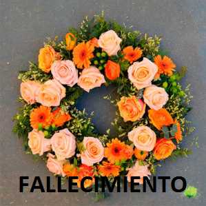 2 FALLECIMIENTOS Falleció 25/8/2019 en Franck a la edad de 79 años. Mabel Ana Darbellay de Chesa. == Falleció 25/8/2019 en Esperanza a la edad de 78 años. Ruben Oscar Dutruel