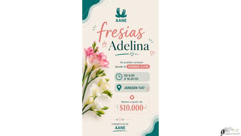 Las fresias de Adelina este viernes a beneficio de AANE colaboremos