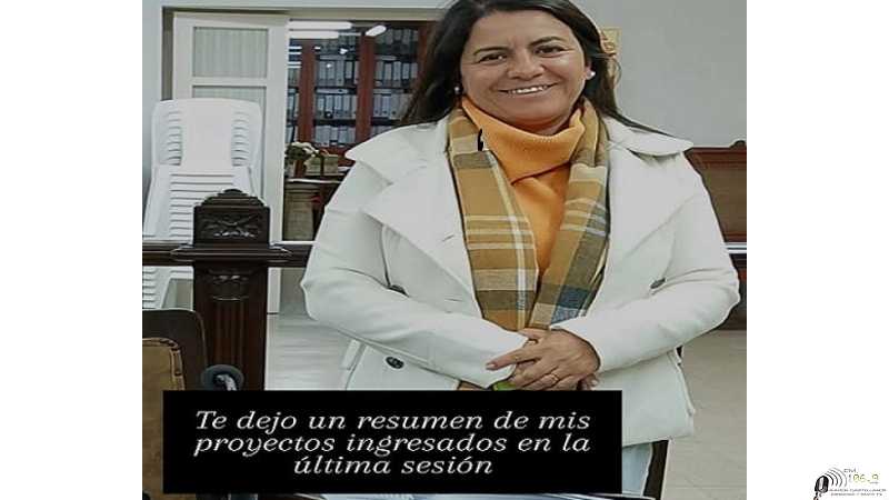 Andrea Martinez informa proyectos presentados en Sesión 29-5-2025