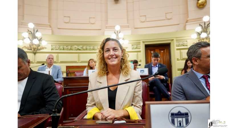 Informe de Diputada Jimena Senn con relación de su activida HASTA EL 26 FEBRERO 2026