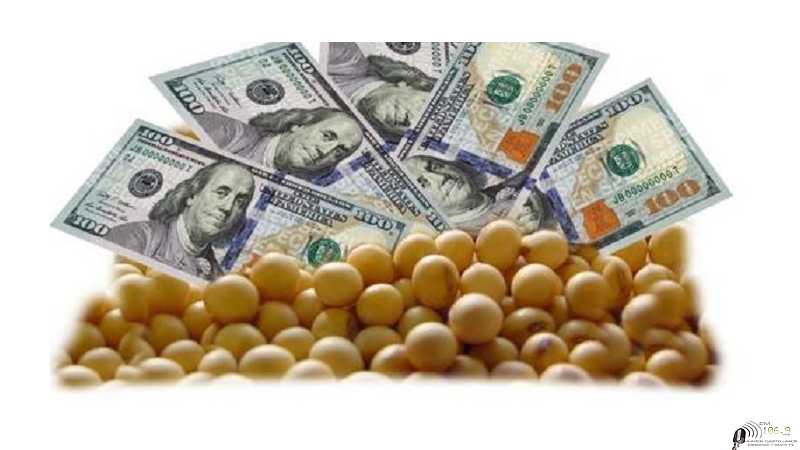 Cierres en Rosario Granos y dólar 7-8-26