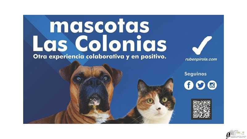 Mascota Las Colonia sigue creciendo, aqui fechas de atención en localidades