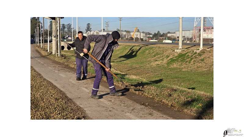 Informe semanal de trabajos municipales