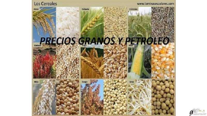 Cotizaciones en Rosario Cierres 31-7-26