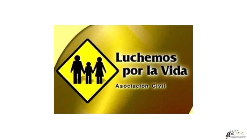 Tips para moverse seguro en la ruta: La importancia de adecuar la velocidad a las condiciones del camino
