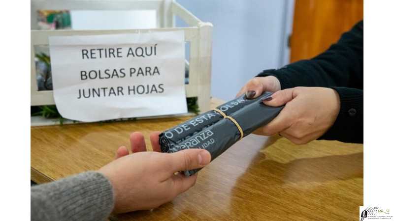 Municipio entrega bolsas de manera gratuita para depositar hojas