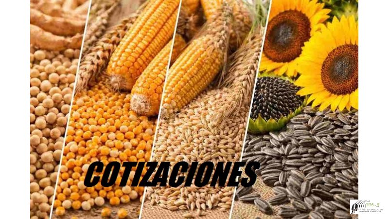 Cotización de cereales en Rosario 9 de Octubre 2026