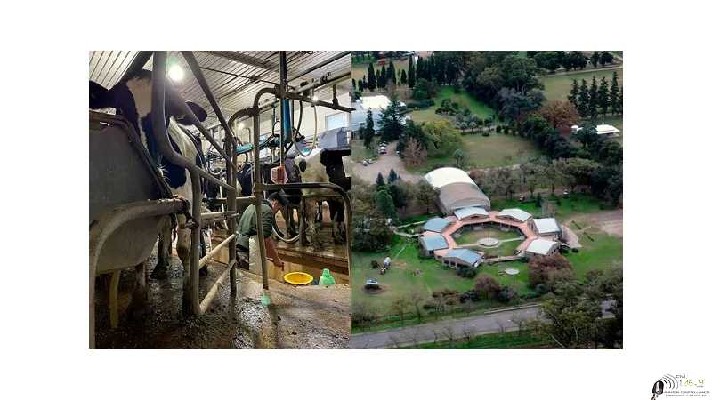 Venado Tuerto tendrá el 1° Colegio del País con tambo automatizado con robotización(VER 3 FOTOS MAS)