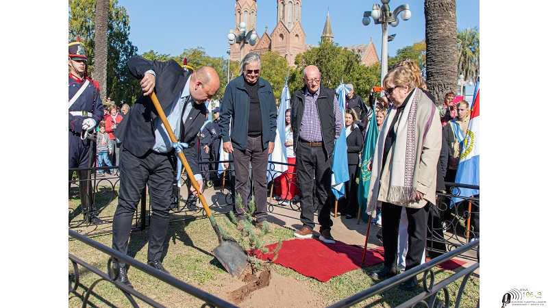 Plantaron en Plaza San Martín un nieto legítimo del Pino Histórico de San Lorenzo