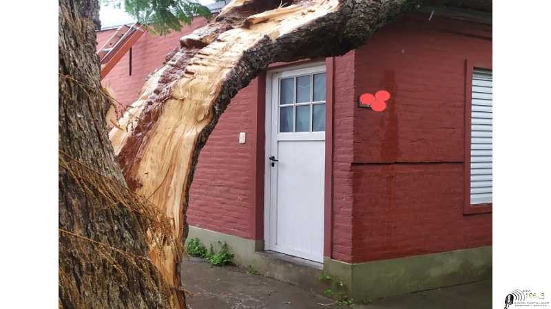 Por motivos de la tormenta se produce la caída de un árbol de gran porte sobre una vivienda